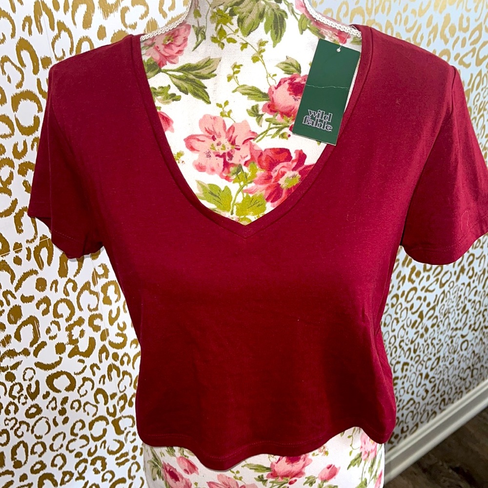 NWT Wild Fable burgundy crop top!